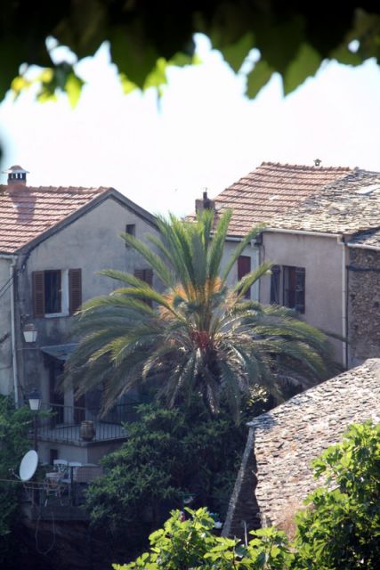 2010 06 30 jeanmarcperfetti.com 023.JPG